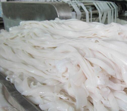 ͺӷۙC(j)ƤC(j)]^ôSކ᣿